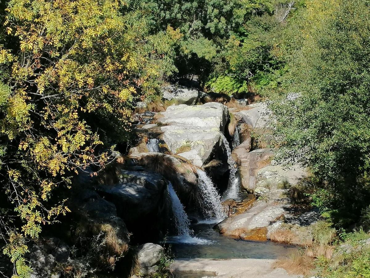 Quinta Do Pe Longo - Serra Da Estrela Cortes do Meio Exterior foto