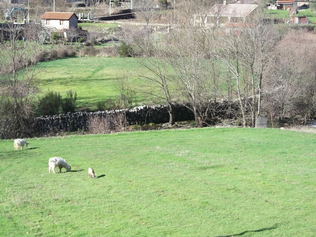 Quinta Do Pe Longo - Serra Da Estrela Cortes do Meio Exterior foto